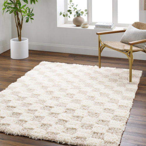Molly Checkered Machine Woven Polypropylene Area Rug in Cream/Light Beige