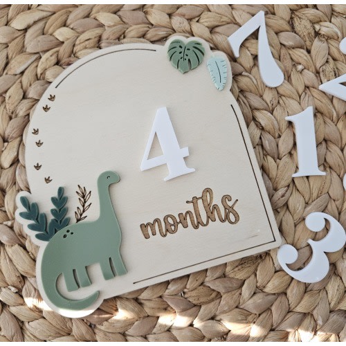 Dinosaur Monthly Milestone Discs | Baby Monthly Discs for Photos | Interchangeable Numbers Monthly Photo Prop Set | Newborn Photo Props
