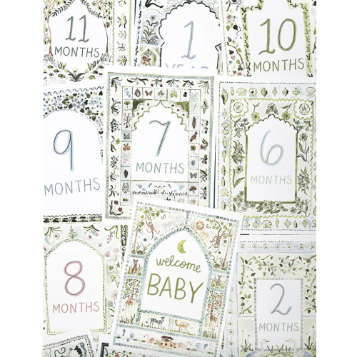 Baby Milestone Cards: Whimsical Set