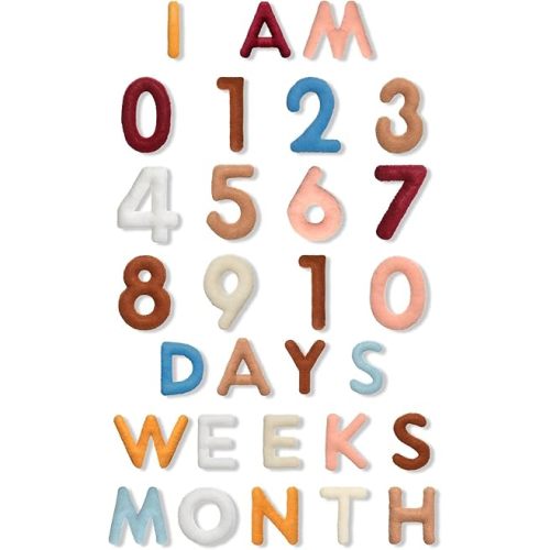 29 Pcs Felt Baby Monthly Milestone Decor Numbers and Letters Newborn Birth Photography Props, 1-12 Months Milestone Number Sign Decor for Toddler Boy or Girl (Boho Color)