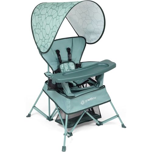 Baby Delight Go with Me Venture Portable Chair | Indoor and Outdoor | Sun Canopy | 3 Child Growth Stages | Garden Green