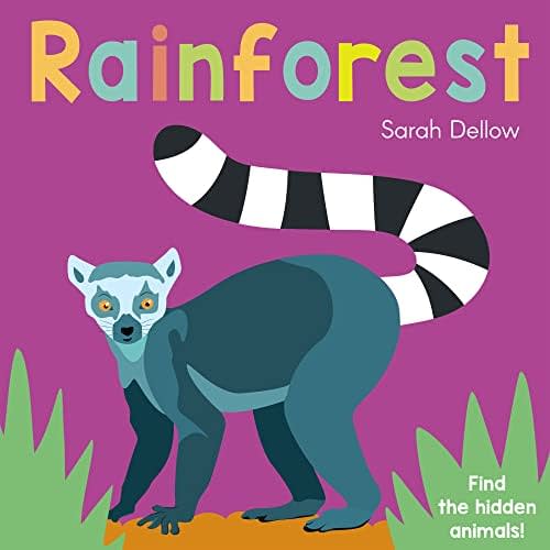Now You See It! Rainforest (Now You See It!, 4)