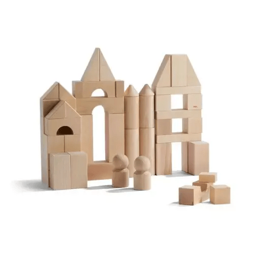 Basic Building Blocks 60 Piece Large Starter Set by Janie and Jack