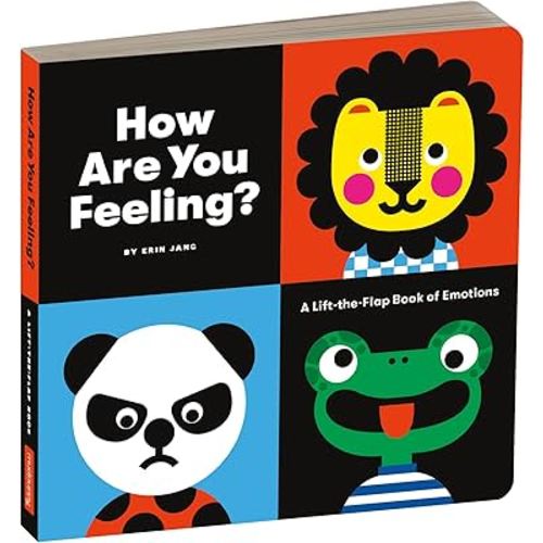 How Are You Feeling Board Book