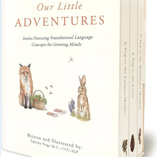 Our Little Adventures: Stories Featuring Foundational Language Concepts for Growing Minds (Tabitha Paige Children's Book Series)