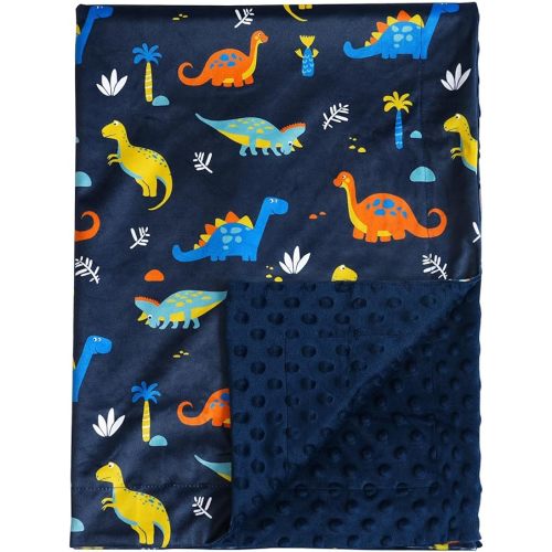 david's kids Micro Fleece Minky Baby Blanket for Boys with Double Layer and Soothing Raised Dots, Breathable and Soft Lightweight Receiving Blanket for Newborns, 30x40 Inches, Dinosaur