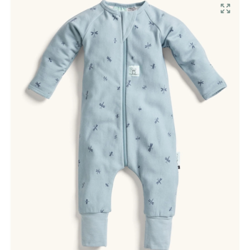 Sleep Onesie 2.5 TOG Dragonflies