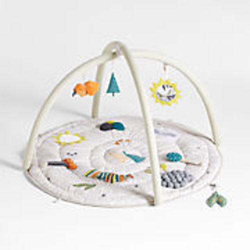 Busy Baby Activity Gym Play Mat + Reviews | Crate & Kids