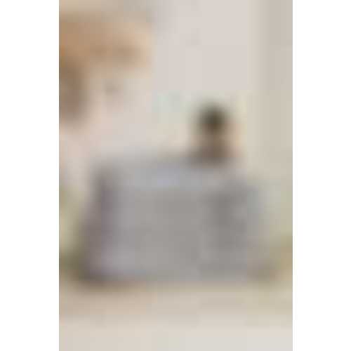 BabyBjörn Travel Crib Light - SIlver