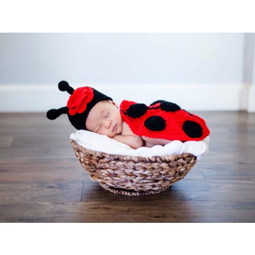 Handmade Newborn ladybug photo prop outfit