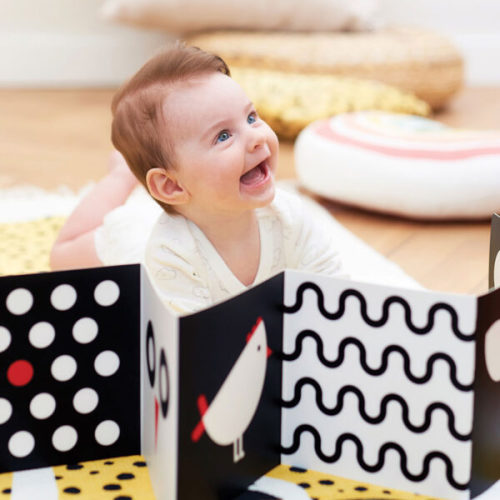 High Contrast Baby Pack - Banana Panda
