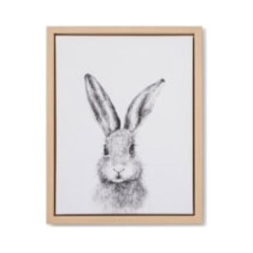 Cloud Island Framed Canvas Bunny