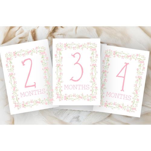 Girl Monthly Milestone Cards, Baby Girl Watercolor flower Monthly Milestone Cards, Grand millennial Milestone Cards, Printed Milestone cards