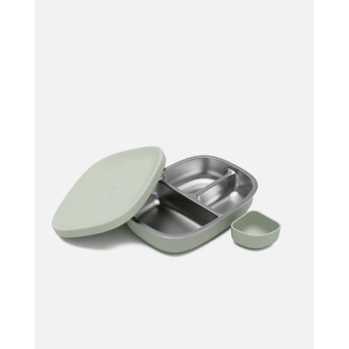 Bento Box - Sage / 1 Pack