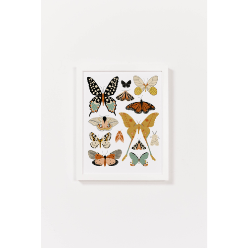 Butterfly Collector Art