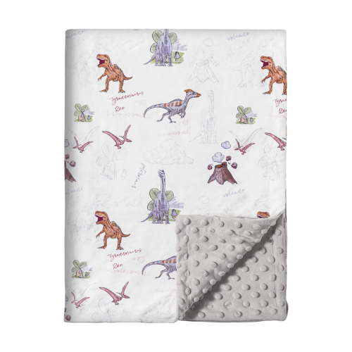 Gllquen Baby Blanket Premium Ultra Soft Minky with Double Layer Dotted Backing Receiving Blankets for Newborn Infant 30"x 40",Volcanic Dinosaurs