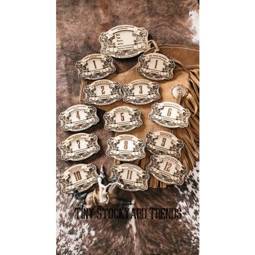 Tiny Stockyard Buckle Milestones and Announcement Set