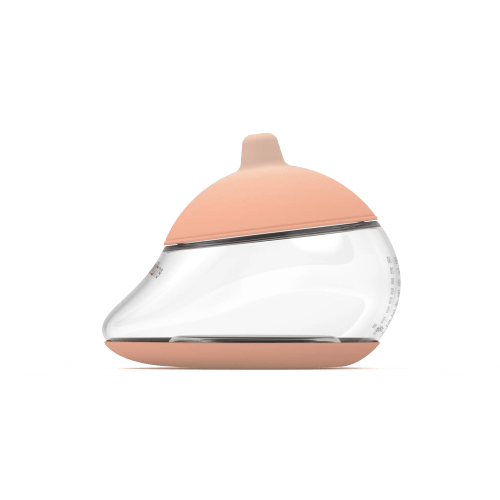 The Anatomy Bottle