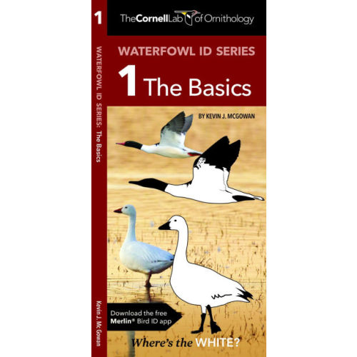Waterfowl ID Series: 1 The Basics by Kevin J. McGowan, Waterford Press Waterford Press, Other Format | Barnes & Noble®