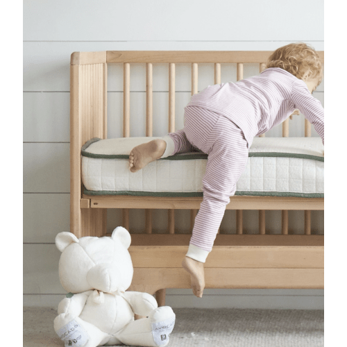 Best Affordable & Organic Crib Mattress | Avocado Green Mattress