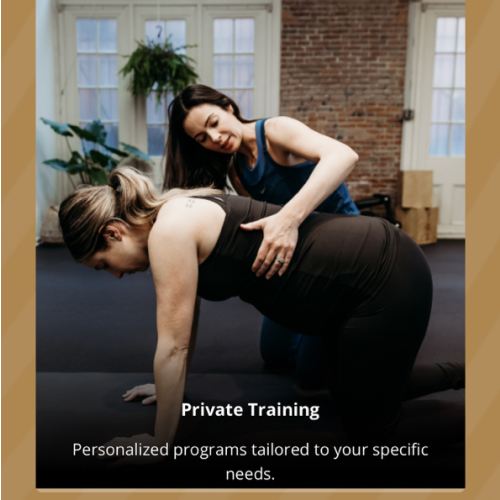 Trimester Fit Body - Post natal workouts