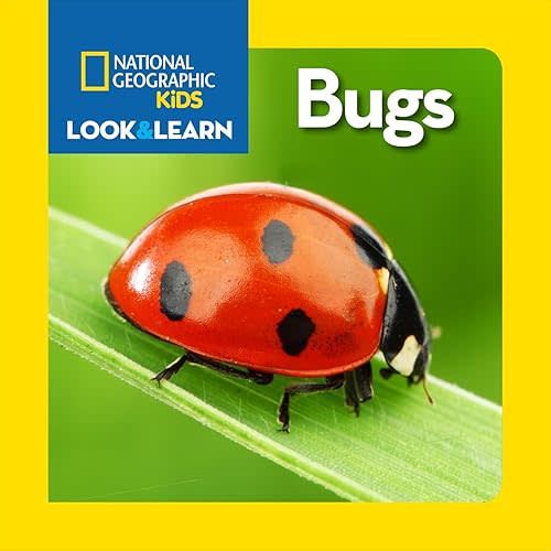 National Geographic Kids Look & Learn: Bugs Board book – Picture Book, February 10, 2015