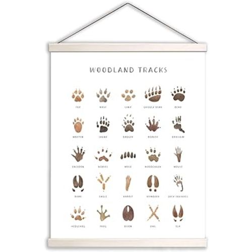 Woodland Animal Tracks Hanging Poster, Woodland Nursery Decor 16x20 Inch, Animal Tracks Canvas Artwork, Forest Nursery Decor, Boy Nursery Wall Decor For Kids