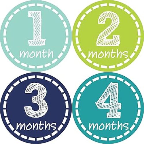 Baby Monthly Milestone Stickers - Newborn Boy Stickers (Style 113)
