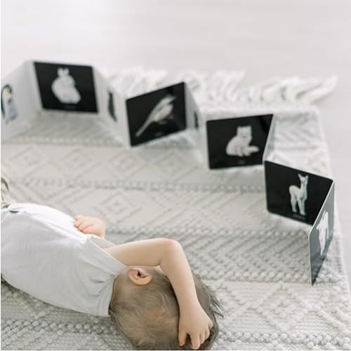 Baby's Black and White Contrast Book: High-Contrast Art for Visual Stimulation at Tummy Time (Our Little Adventures Series) Board book – Picture Book, August 1, 2023