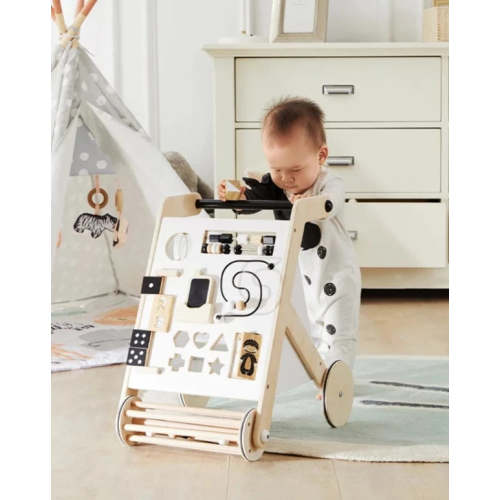 Baby Activity Walker