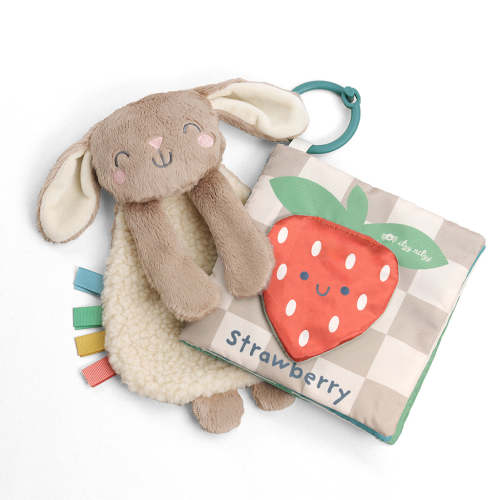 Itzy Learn & Snuggle Gift Set™ – Itzy Ritzy