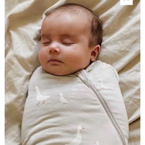 Swaddle Sleep Sack - Goose