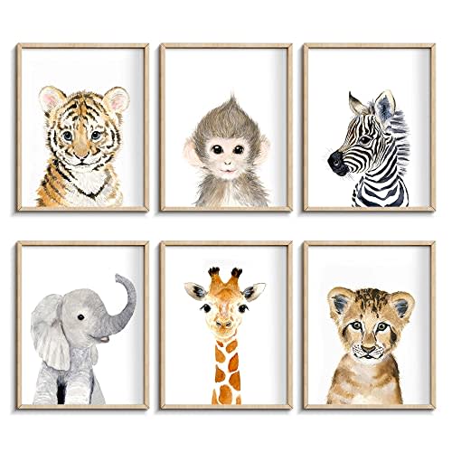 Jungle Safari Wall Art Decor for Baby Nursery Room - Tiger, Lion, Elephant Animal Decorations for Bedroom (12"x16", UNFRAMED)