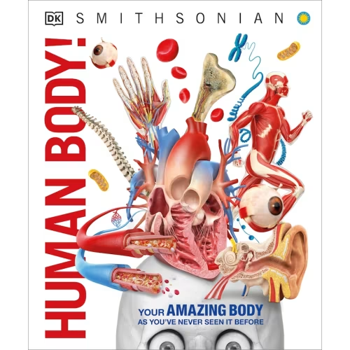 Knowledge Encyclopedia Human Body! Book By Dk, (Hardcover) | Indigo