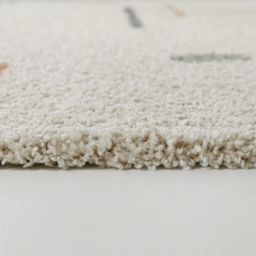 Carson Shag Area Rug