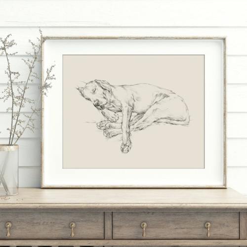 Labrador Retriever Art Print by Artist Ethan Harper. Black - Etsy