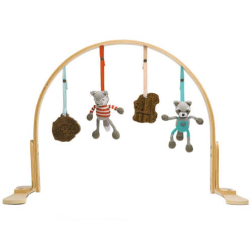 Baby Play Gym
