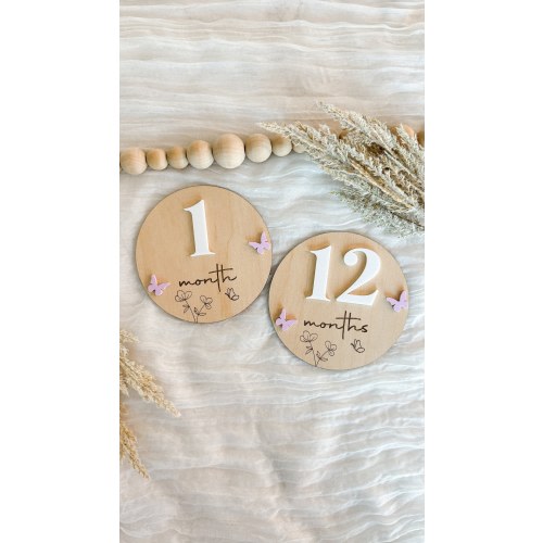 Butterfly Milestone Set, Baby Milestone Set, Monthly Milestone Set, Milestone Marker, Baby Girl Gift, Baby Monthly Photo, Baby Shower Gift