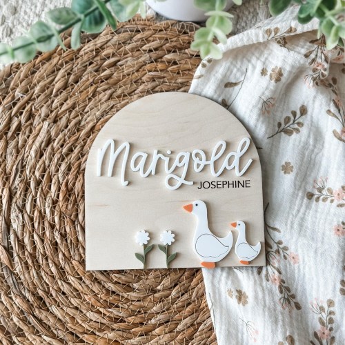 Baby Birth Announcement Sign | Birth Stat Sign | Goose Name Sign | Cottage Core Nursery Decor