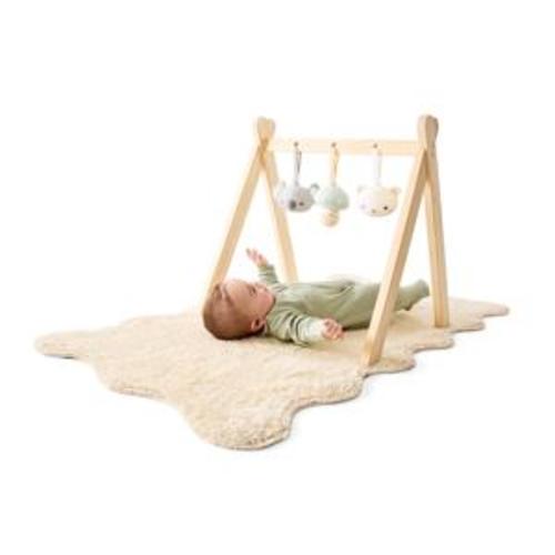 Gym Toy Accessories