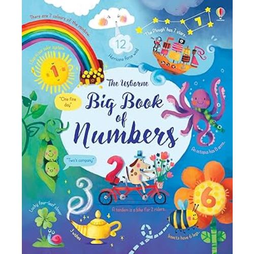 Big Book Of Numbers