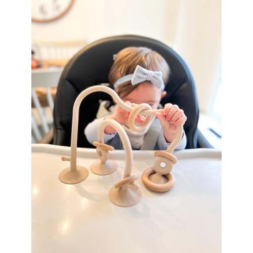 Suction Ring Toy for Babies