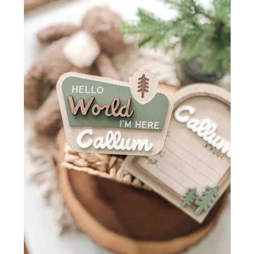 National Park, New Adventure, Let the Adventure Begin, Birth Stats, Announcement, Birth, Name Sign, Baby Name Sign, Hospital, Fresh 48