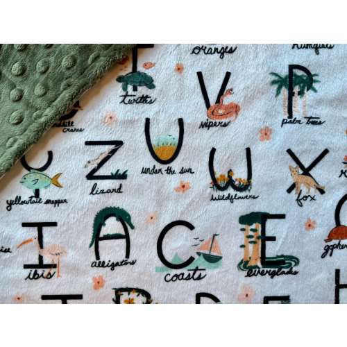 Blanket: FLORIDA Alphabet. FL minky ABC baby blanket or lovey. Minky and faux fur child or adult throw blanket, home decor. Baby shower gift