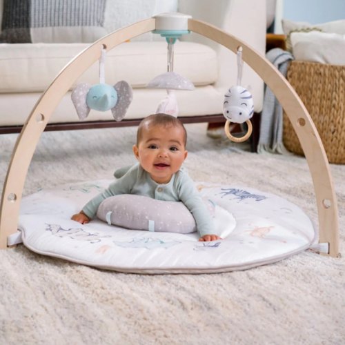 Baby Activity Gym | aden + anais