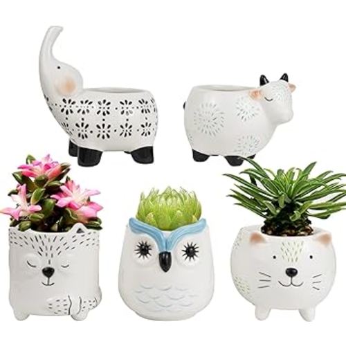 LA JOLIE MUSE Small Succulent Pots with Drainage, Ceramic Animal Planter, Indoor Plant Pots, Cute Cactus Small Flower Pots for Home Decor Gifts for Mom and Office Desk Decoration, Set of 5 Pieces