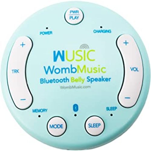 Wireless Womb Music Bluetooth Belly Speaker: Essential Pregnancy Must Haves, Perfect Pregnant Mom Gifts, Belly Headphones for Pregnant Women, A Unique First Time Mom Gift