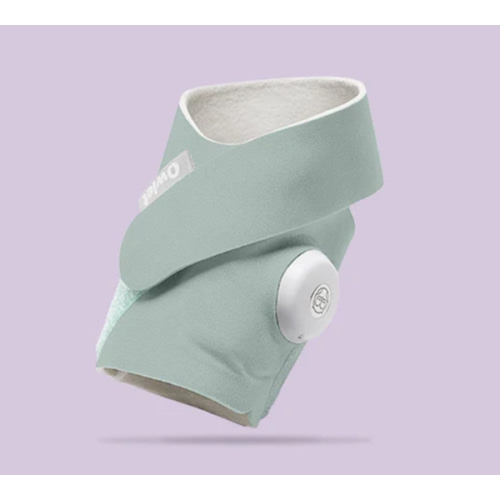 Owlet sock
