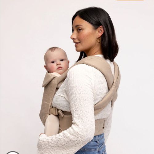 Desert Lark - Aerial Carrier – WildBird