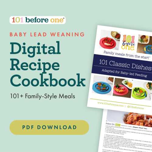 101 Baby-friendly Family Dinner Recipes for Baby Led Weaning from 101 before one
